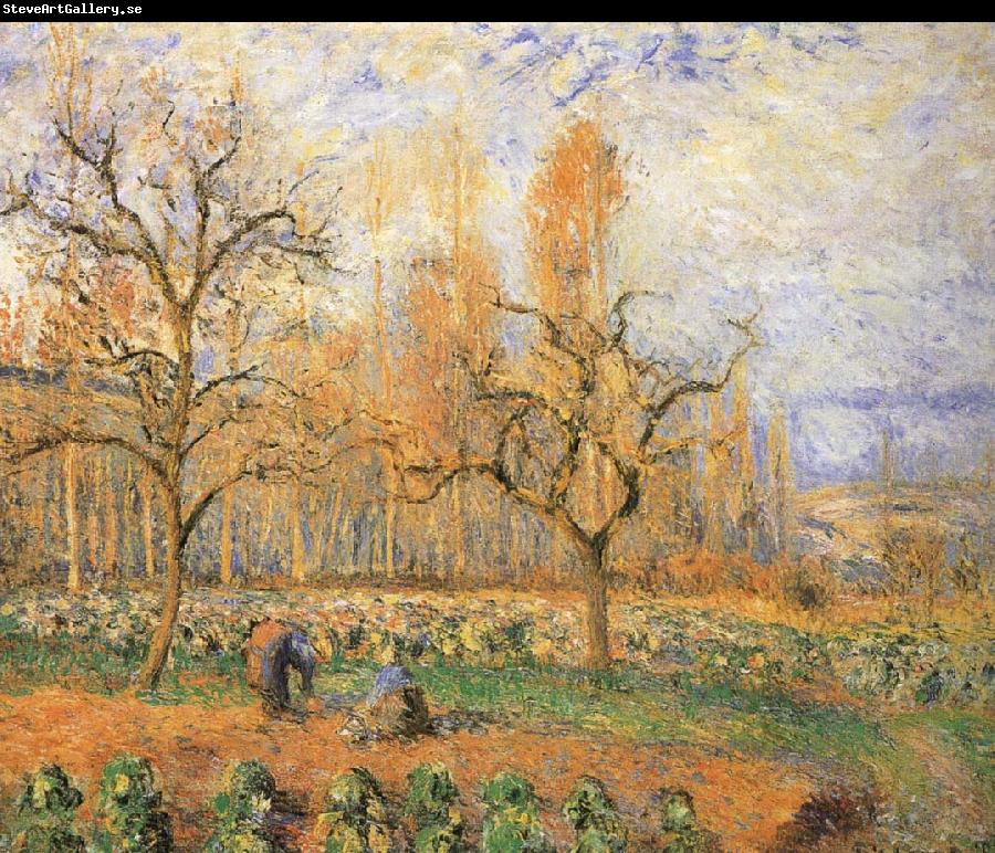 Camille Pissarro Farmland landscape